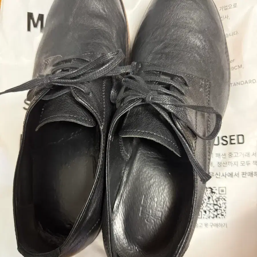 3) 폴리테루 더비 브라운솔