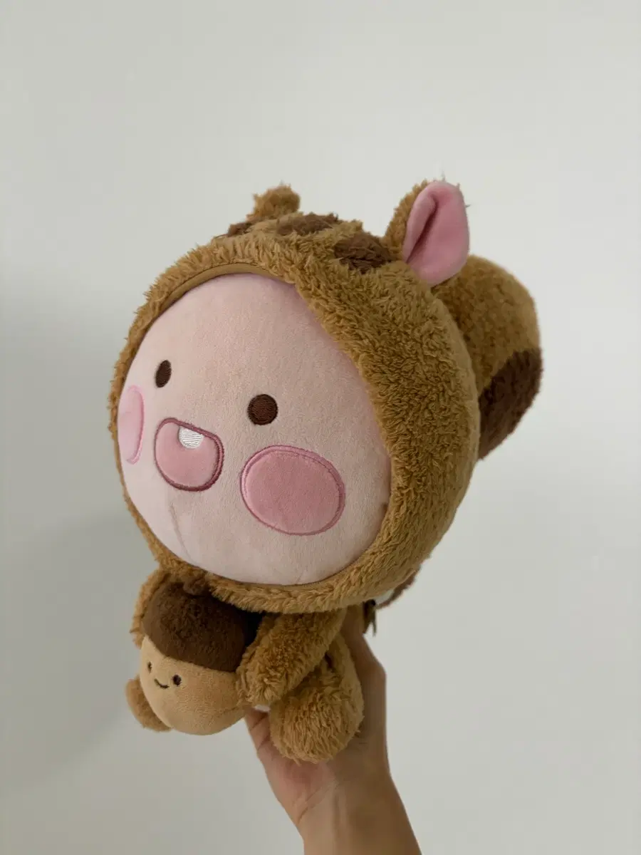 어피치 다람쥐 카카오프렌즈 가을 한정판