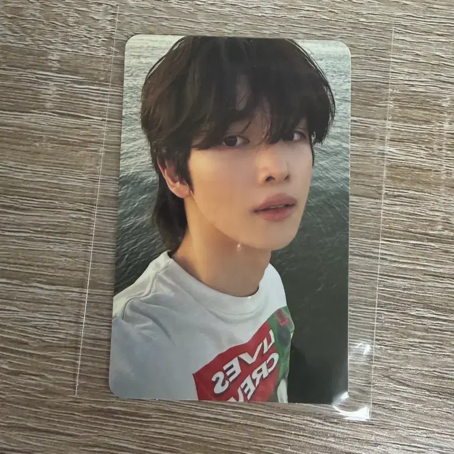 라이즈 성찬 포카