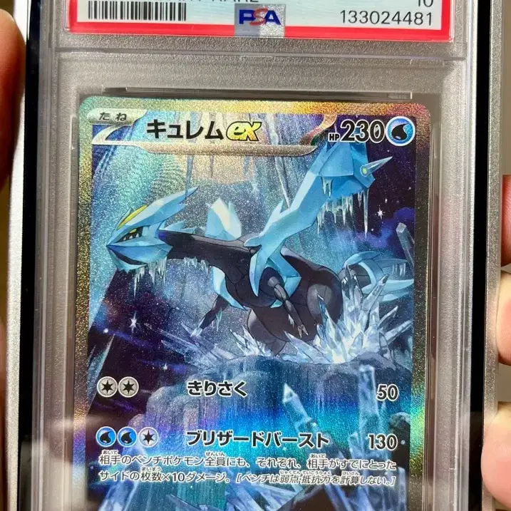 포켓몬 큐레무 sar psa 10