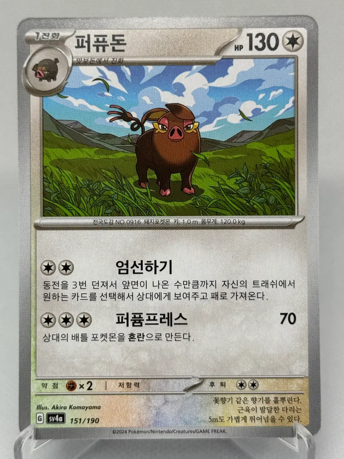 포켓몬카드 한글판 퍼퓨돈 일반카드 [sv4a 151/190] 샤이니트레저