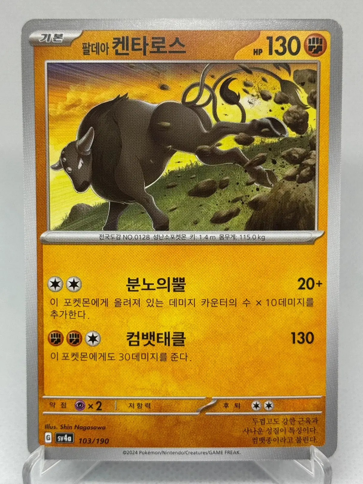 포켓몬카드 한글판 팔데아 켄타로스 일반카드 [sv4a 103/190] 샤이니트레저