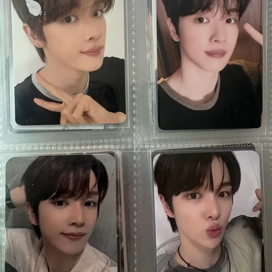 라이즈 성찬 포토카드