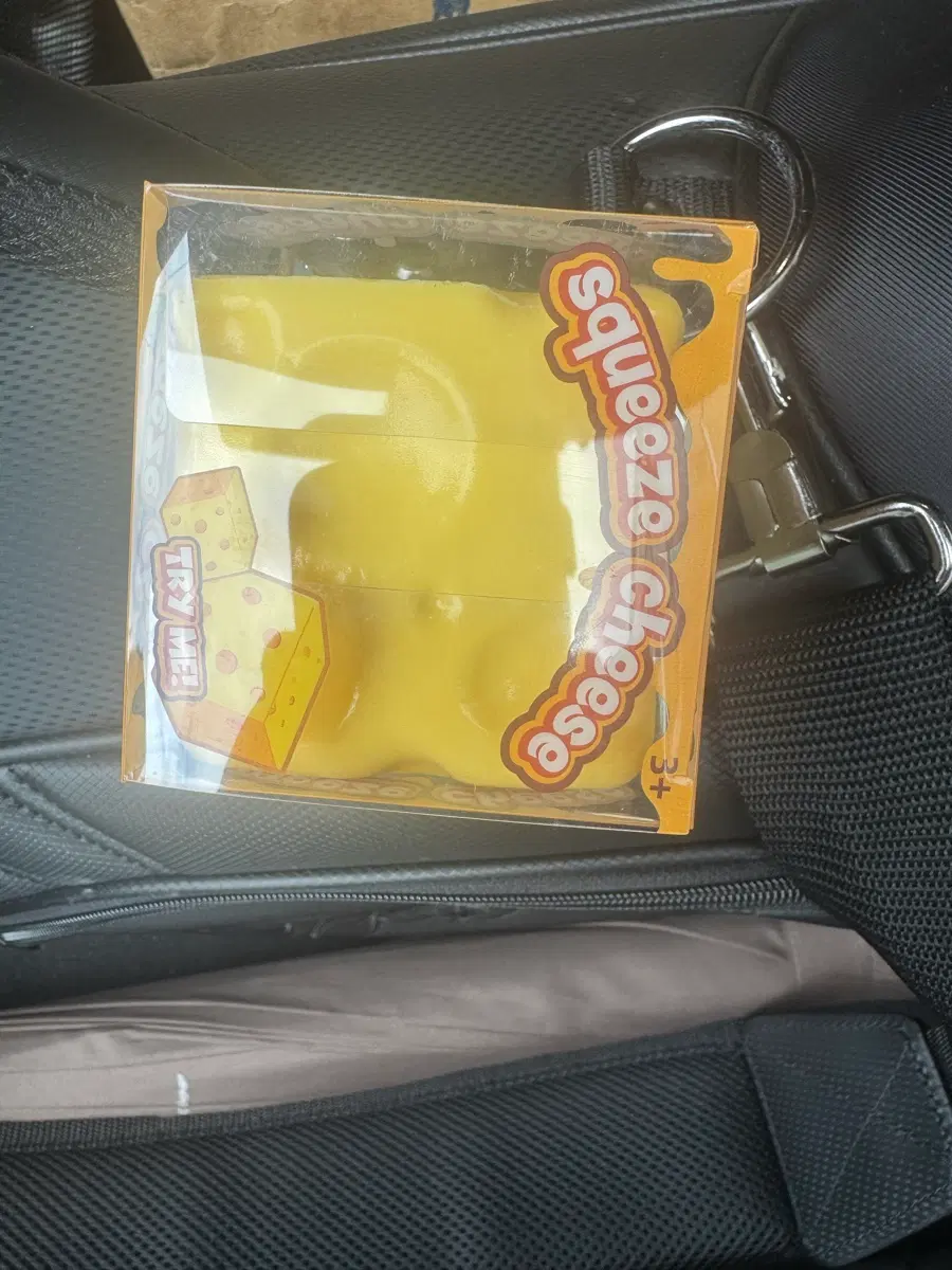 치즈 스퀴시