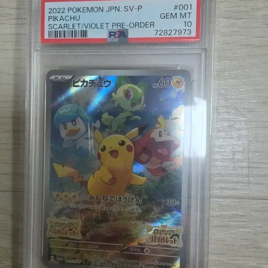 포켓몬카드 일판 피카츄 psa10 등급