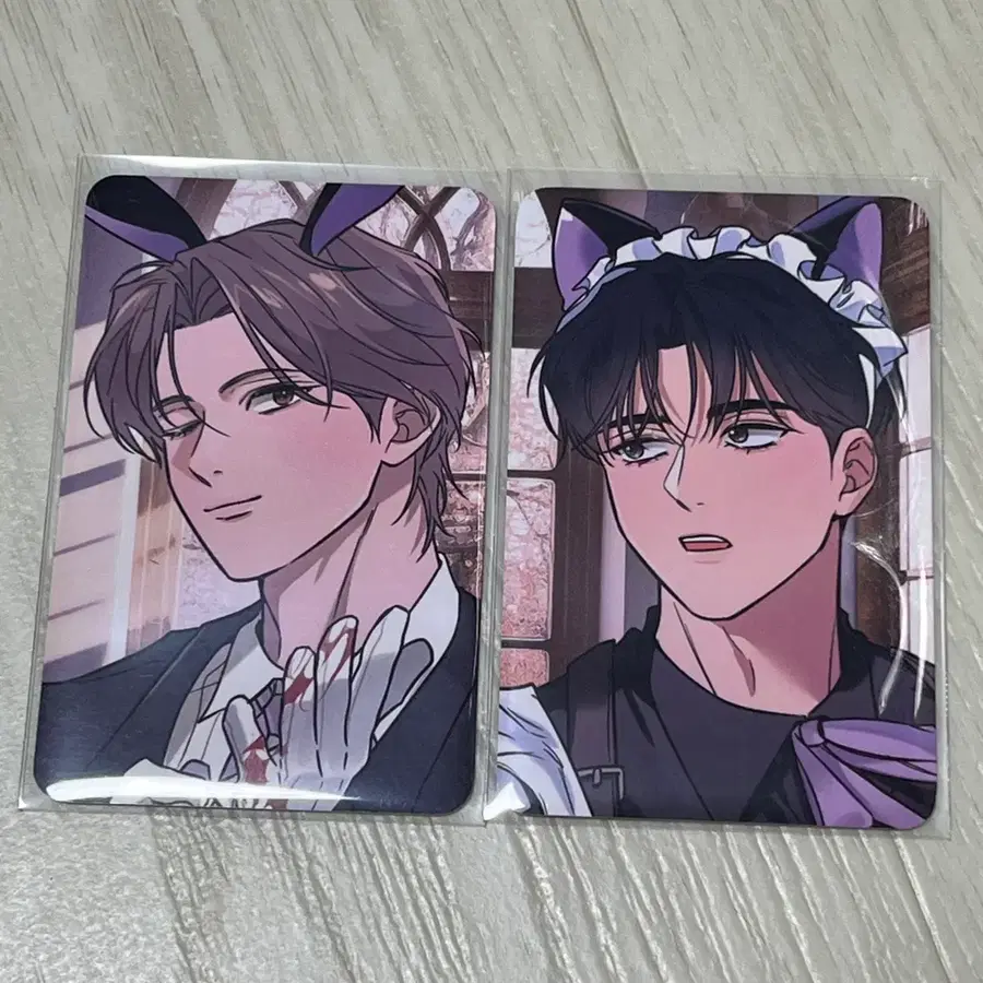 살롱드르봉 레봄 밤부 밤은 부드러워라 컬포 컬렉션 포카