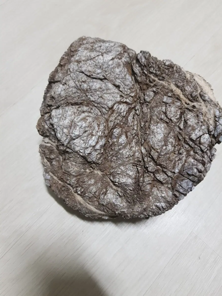특이수석