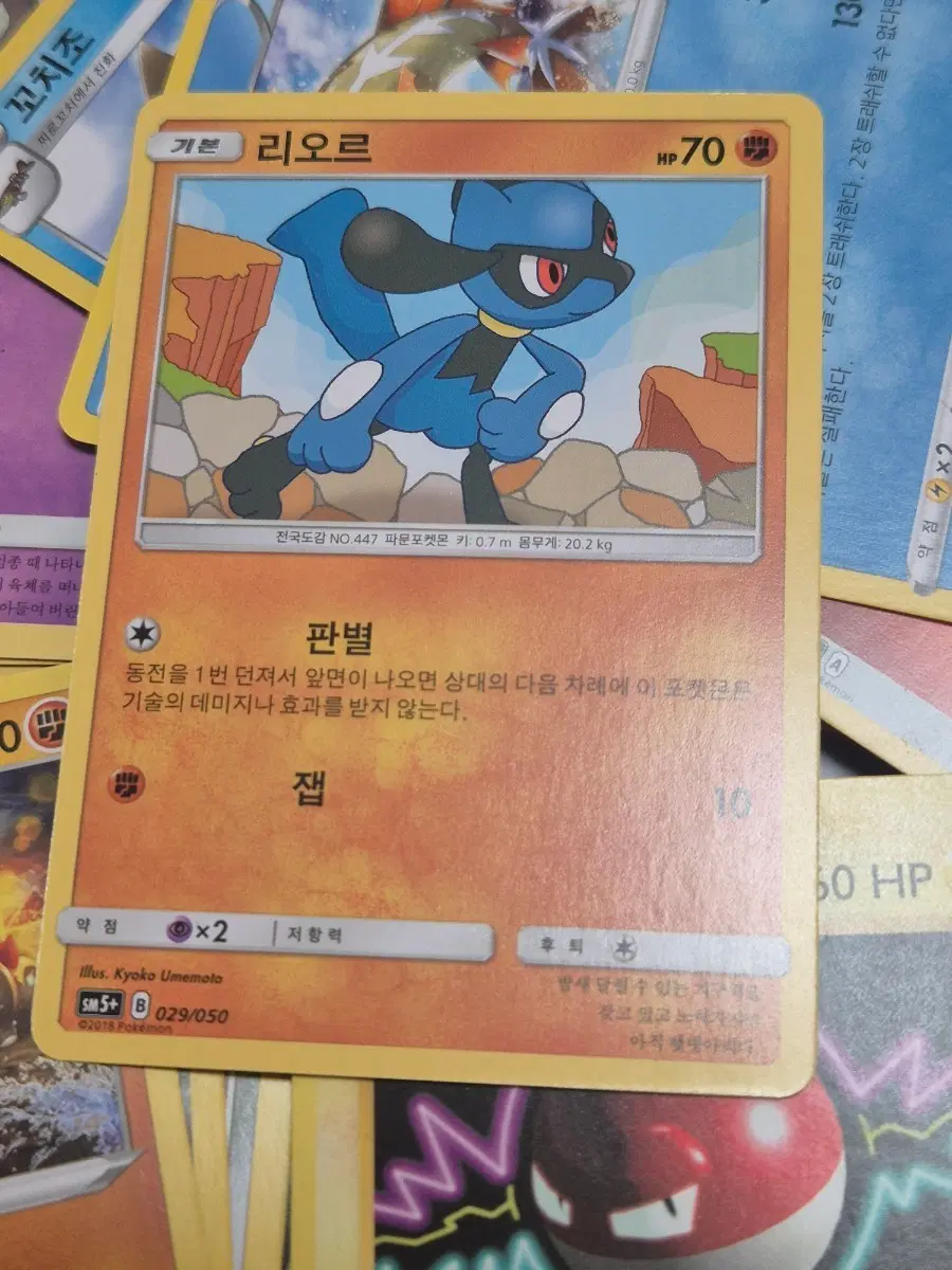 포켓몬 카드 리오르 앨범용