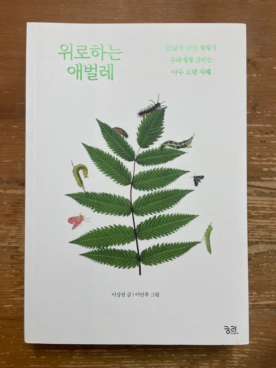 위로하는 애벌레 - 이상권