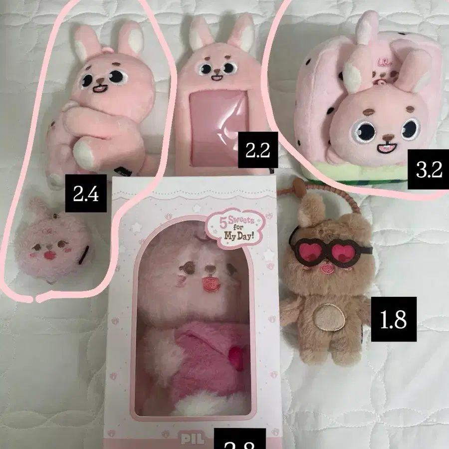 데이식스 필끼 나안아, 보이스 키링, 태닝필끼, 라잉(대전) 러기지택 페이스키링