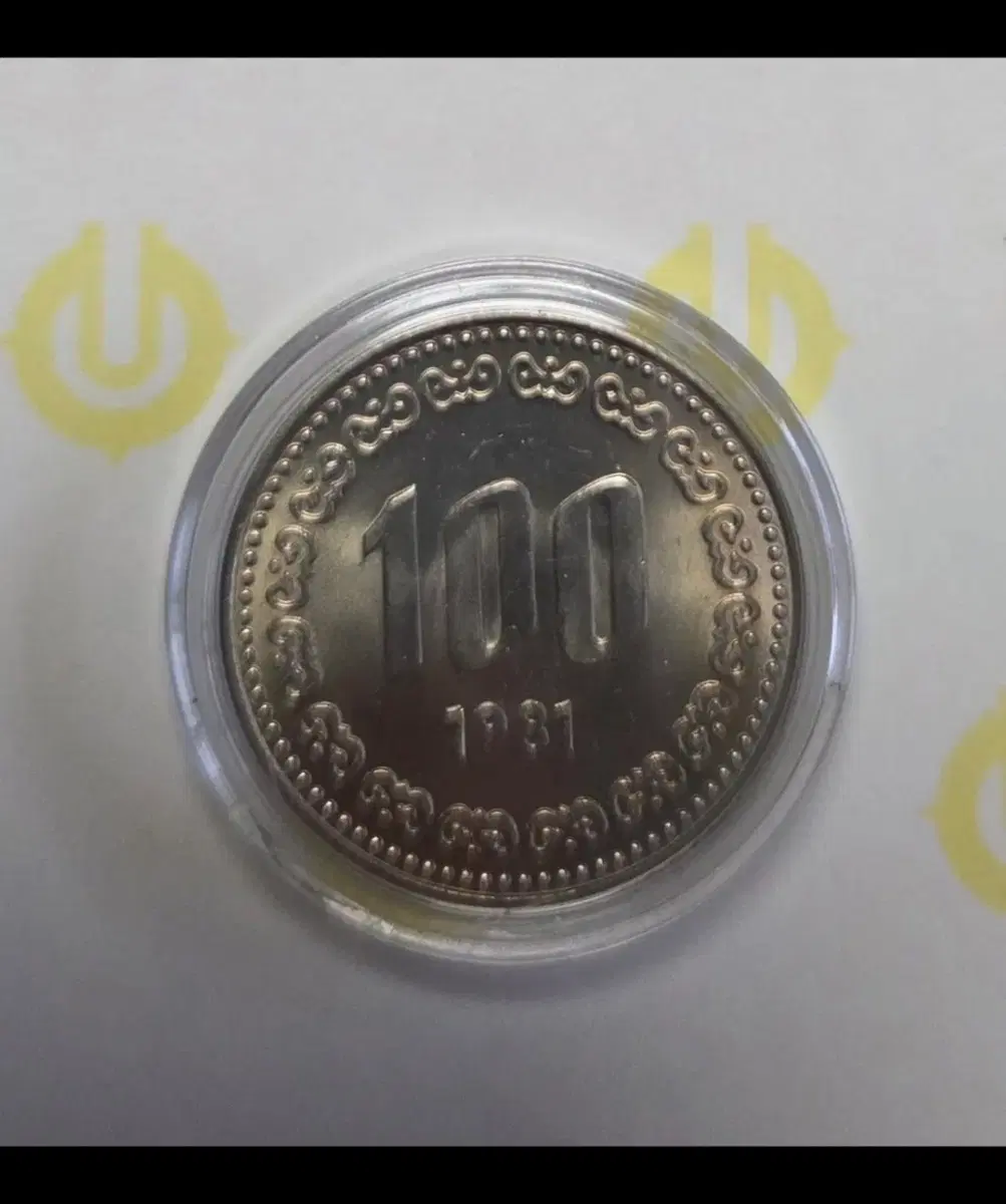 100원 1981년미사용동전