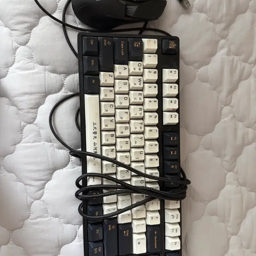 로지텍 g903 덱헤슘 거북선