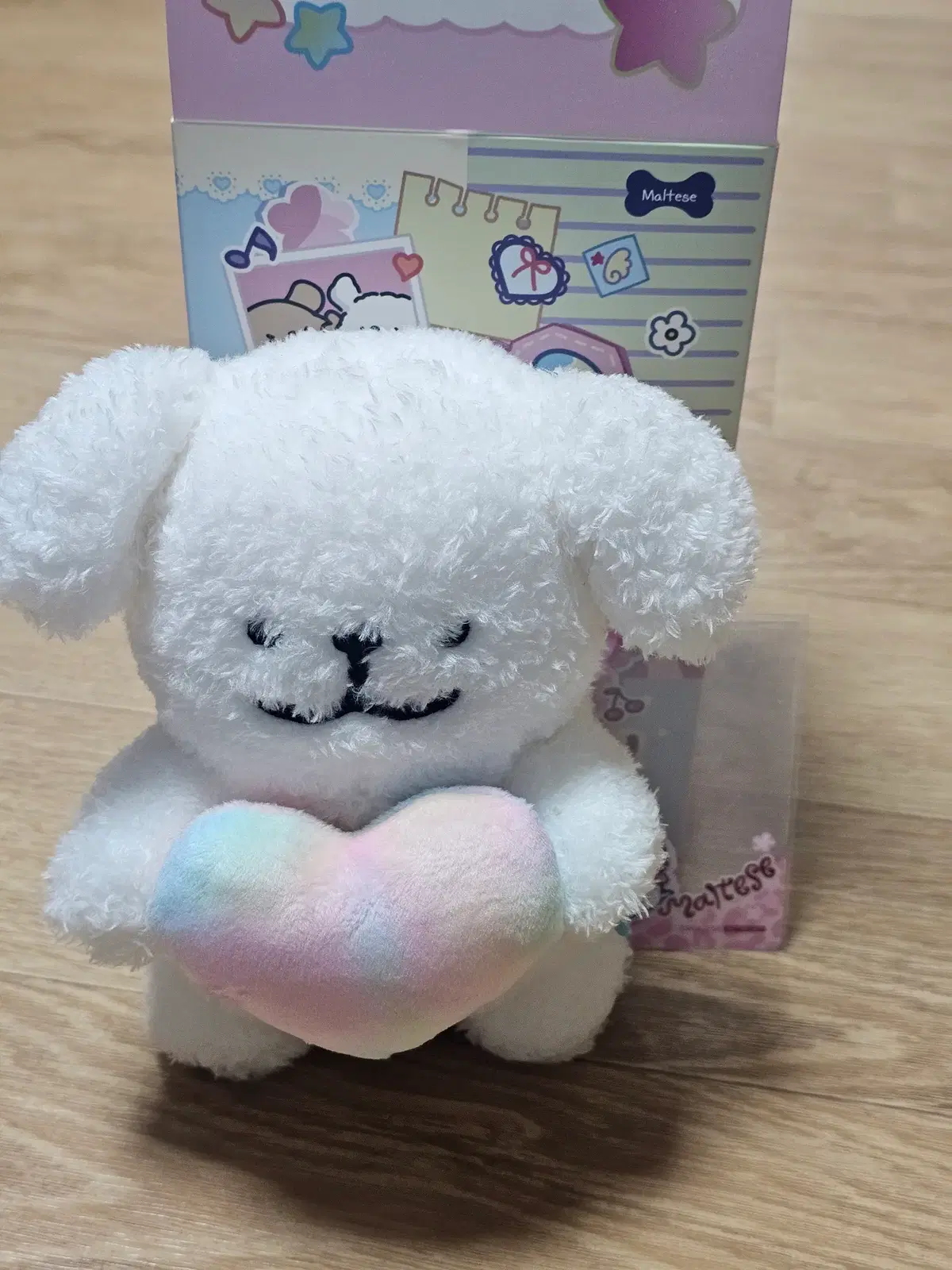 몰티즈 오로라하트 와쿠와쿠완코