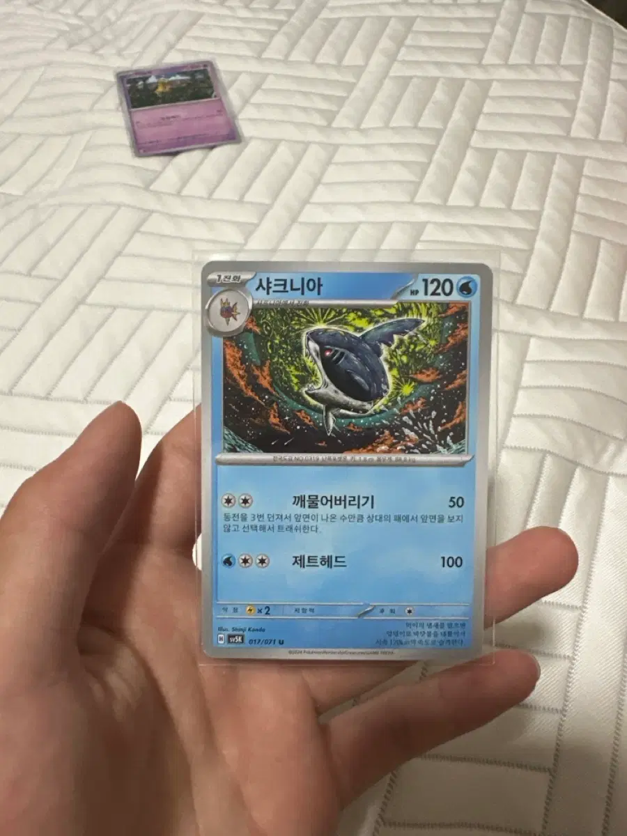 샤크니아 신지칸다 카드