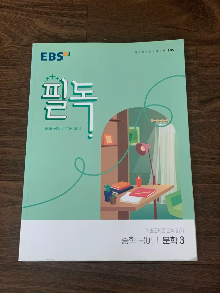 EBS 필독 중학 국어 문학 3