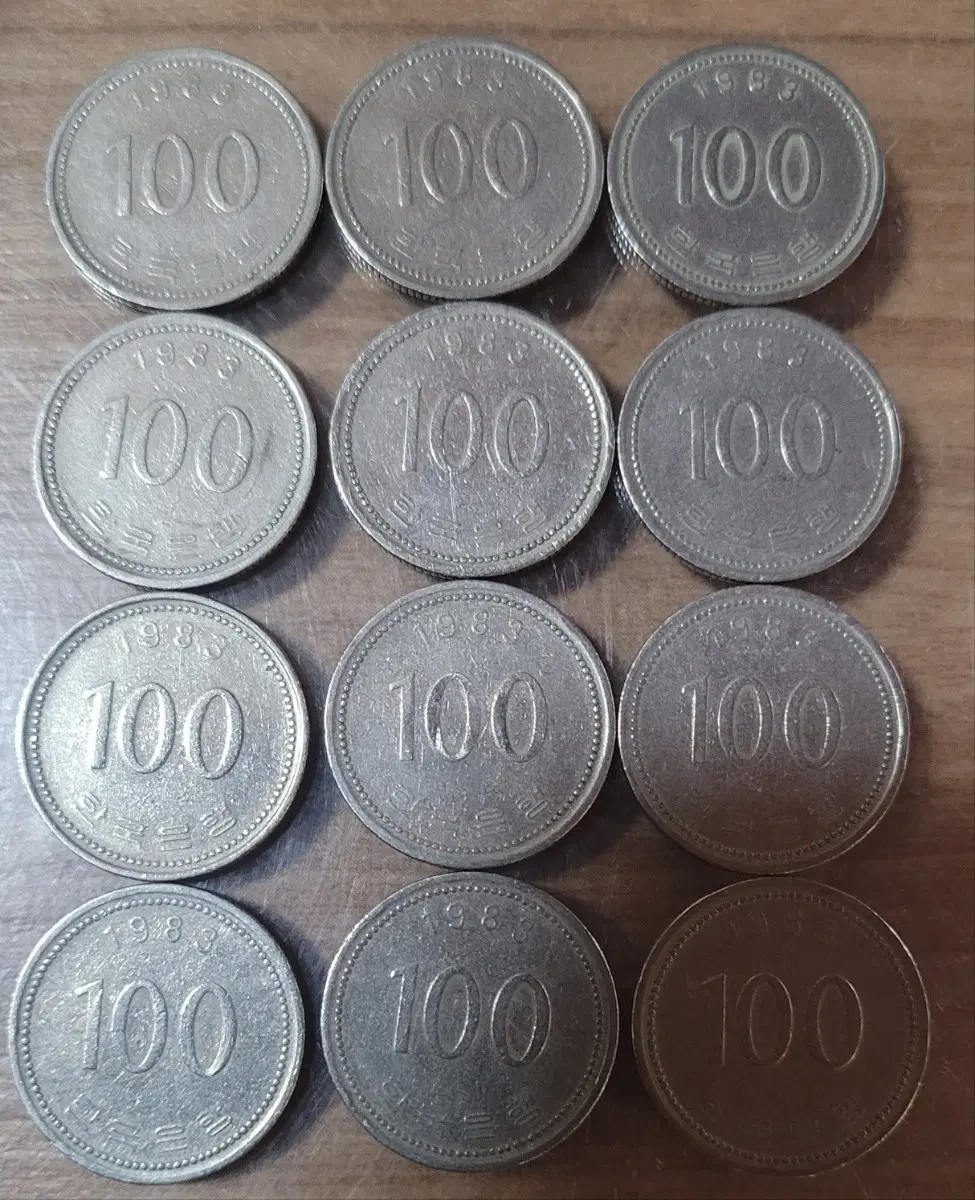 100원 동전 1983년 12개 일괄