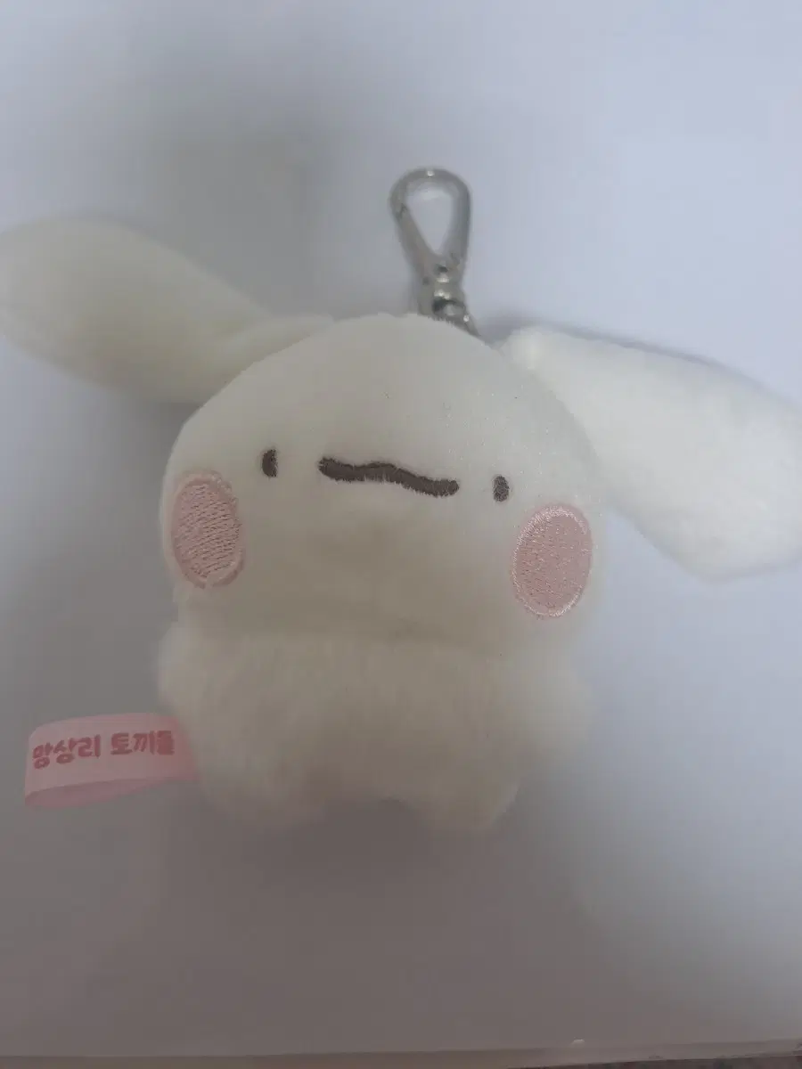 망상리 토끼들 아붕이 인형 키링