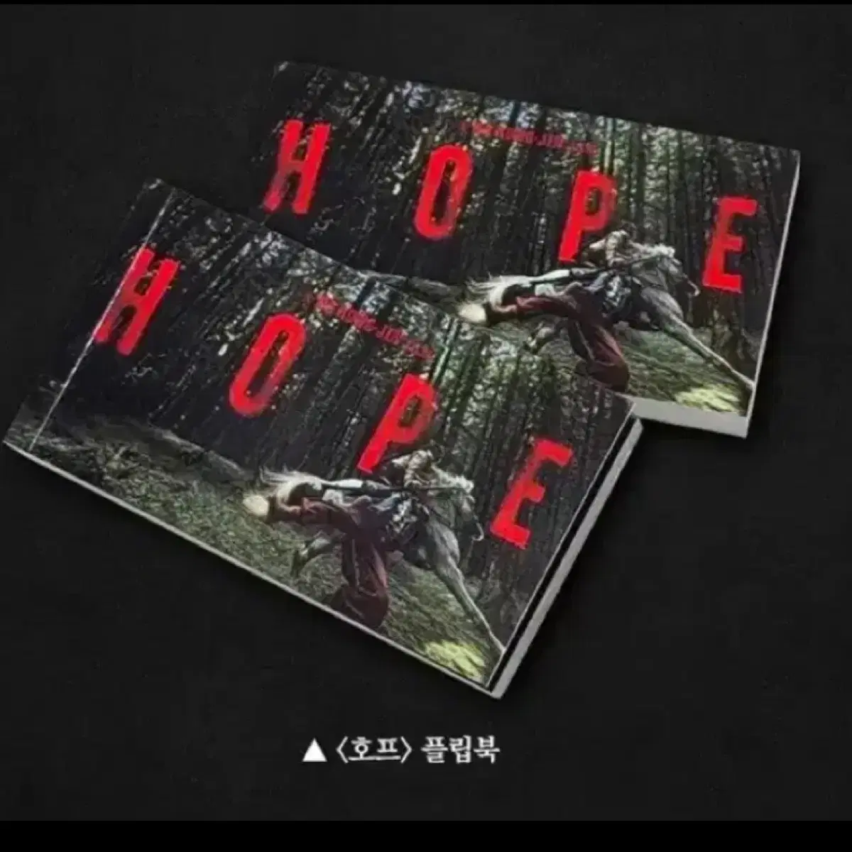 <호프> 플립북
