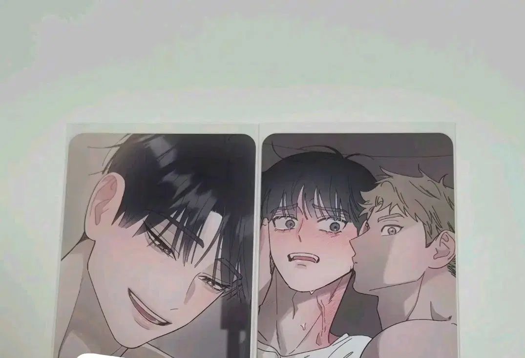 일괄) 홍실퀘스트 컬포 포카 양도 홍퀘 리디 레봄 모펀 투니크 비온 봄툰