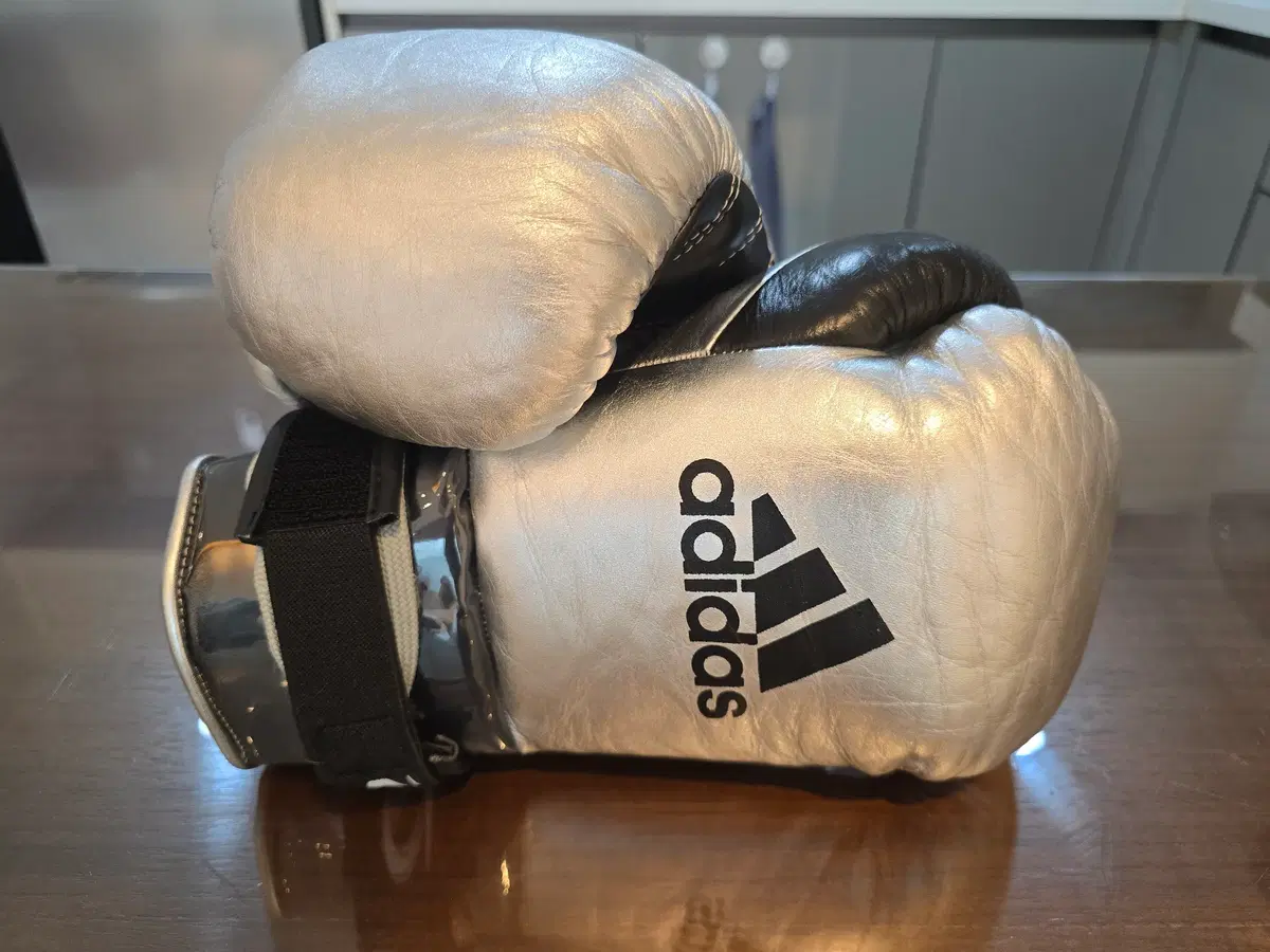 아디스타 홀스헤어 글러브 Adistar horsehair boxing gloves 8oz