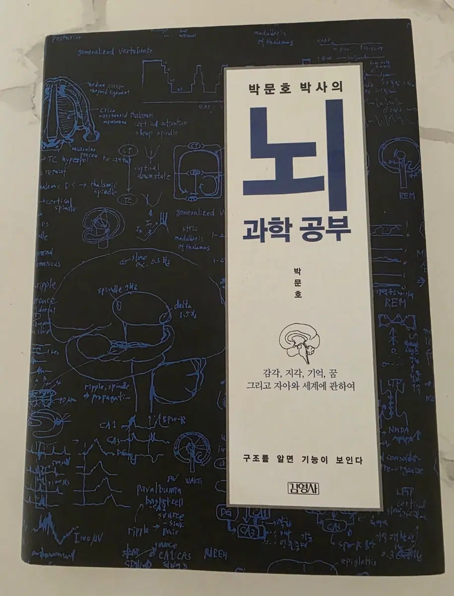 도서 박문호 박사 뇌 과학 공부 책