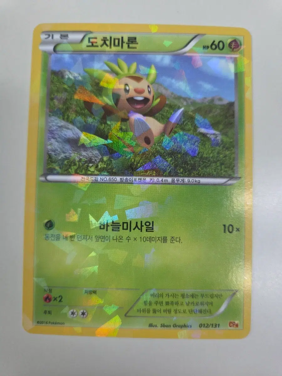 포켓몬카드 CP시리즈 도치마론