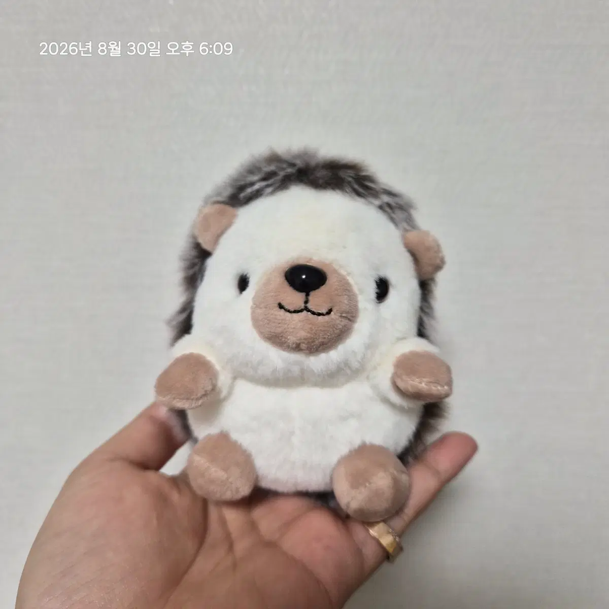 고슴도치 키링 인형