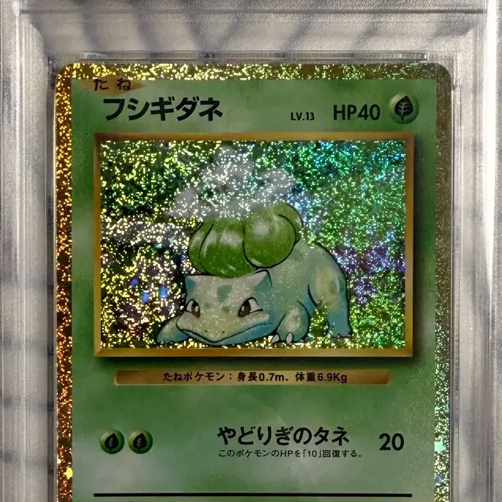 포켓몬 일판 포켓몬카드 클래식 이상해씨 PSA 10