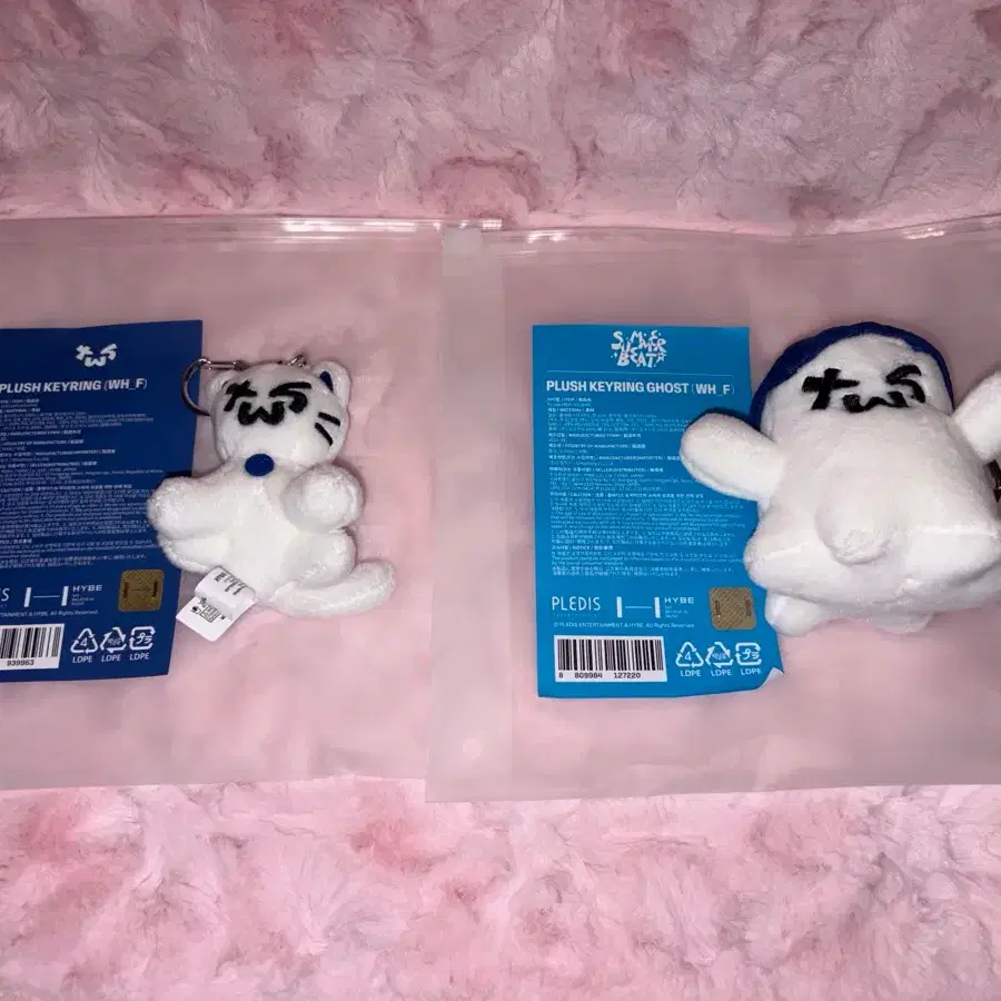 TWS 투어스 투냥이 투령이