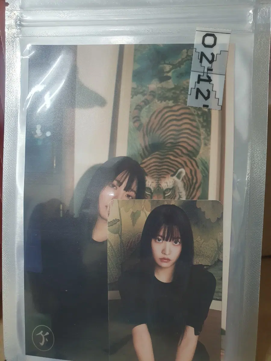 레드벨벳 인화 사진 예리