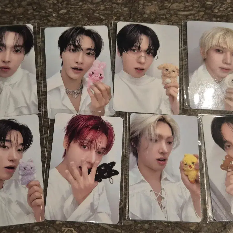 애니티즈 8초 게임포카 드볼 set