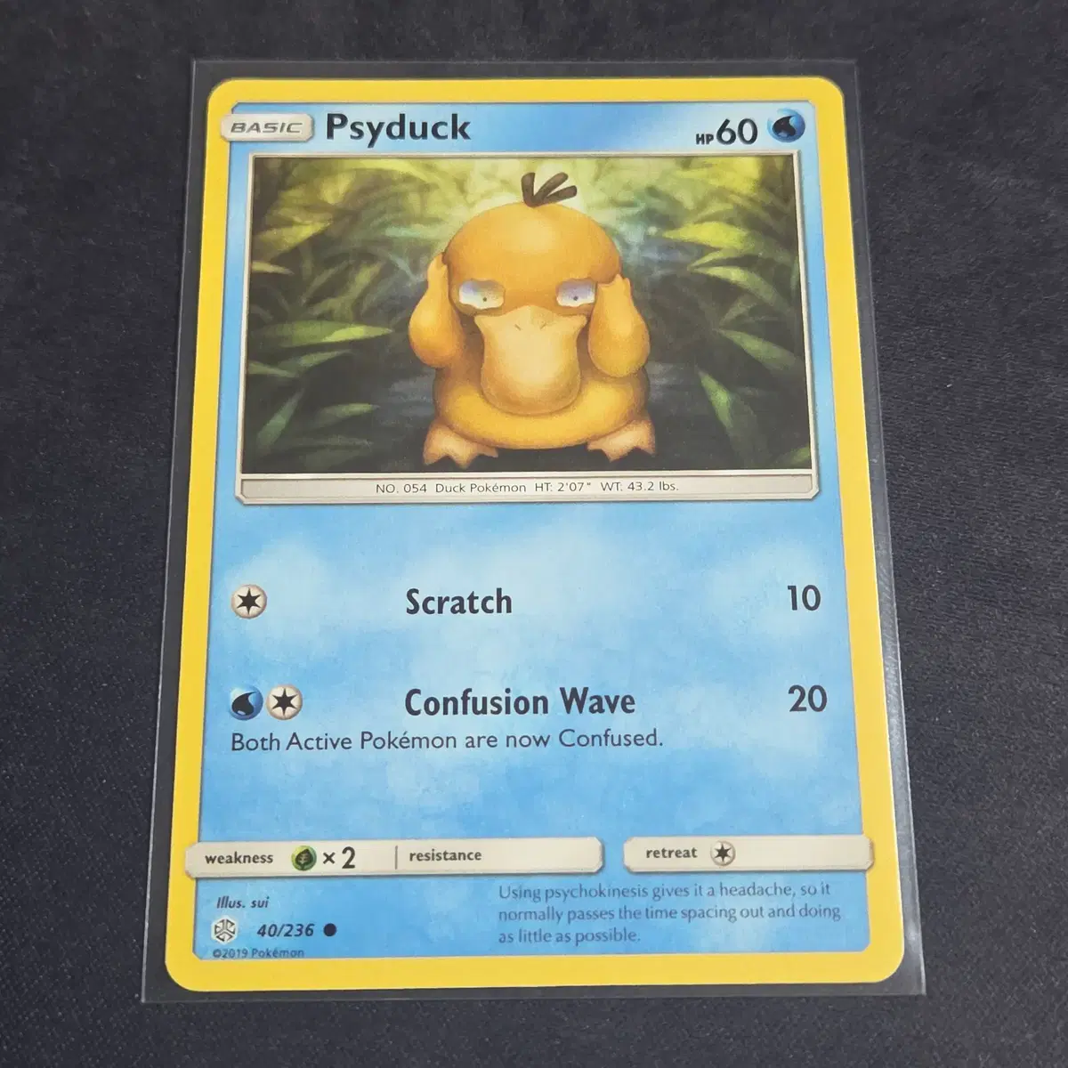 [포켓몬 카드] 북미판 고라파덕 40/236