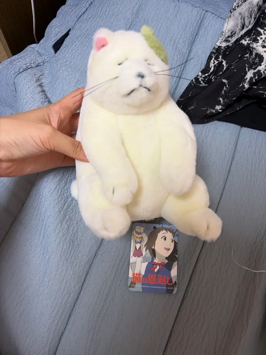 지브리 고양이보은 무타 인형