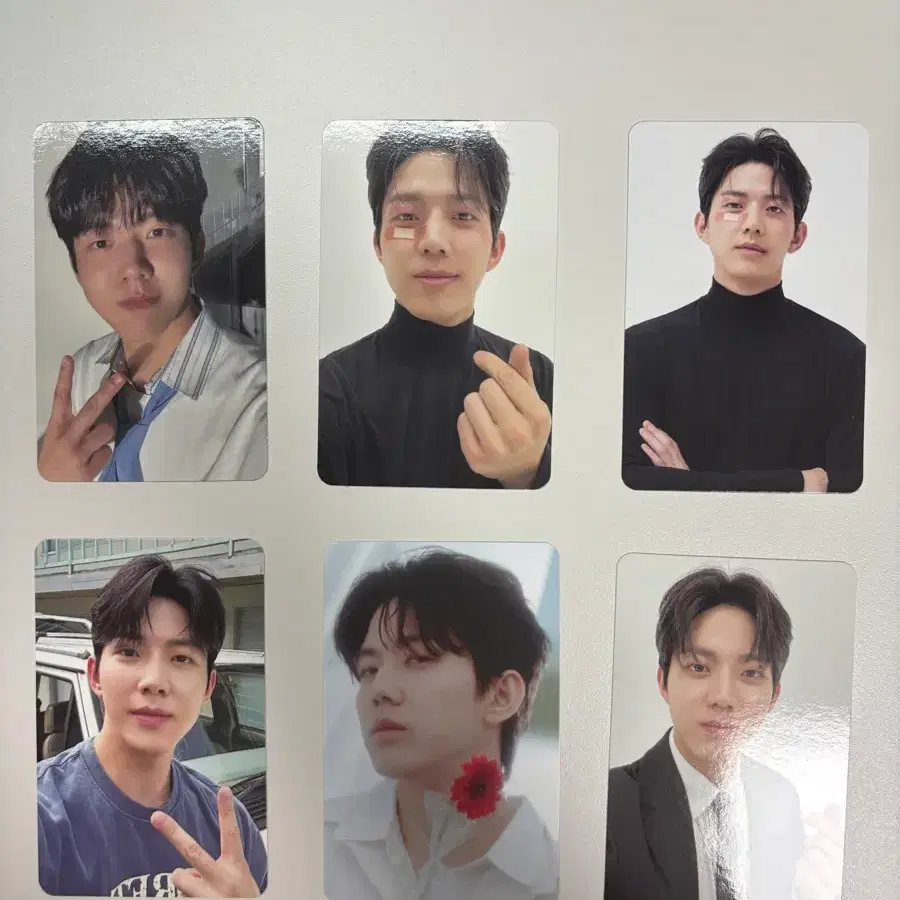 데이식스 도운 포카 판매