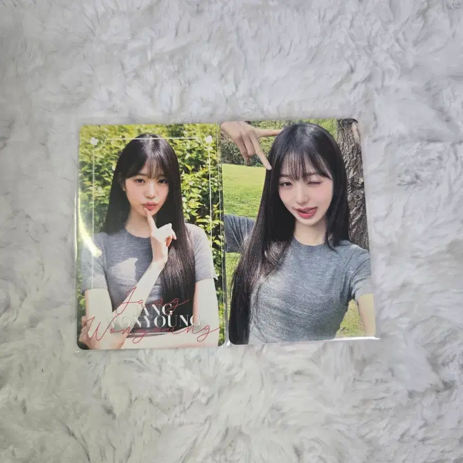 디아이콘 원영 포카