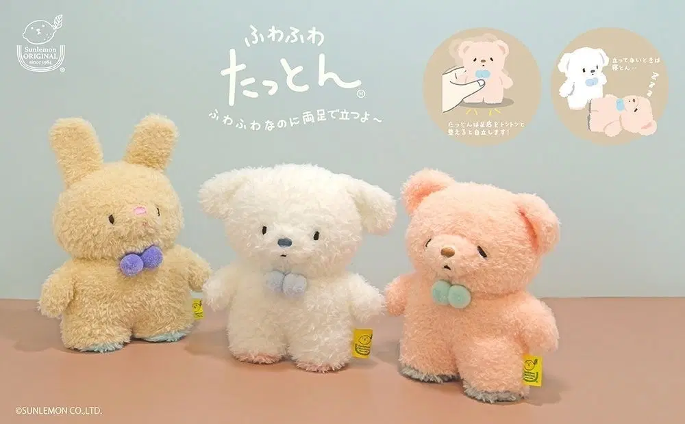 선레몬 후와후와 탓톤 이누 강아지 인형