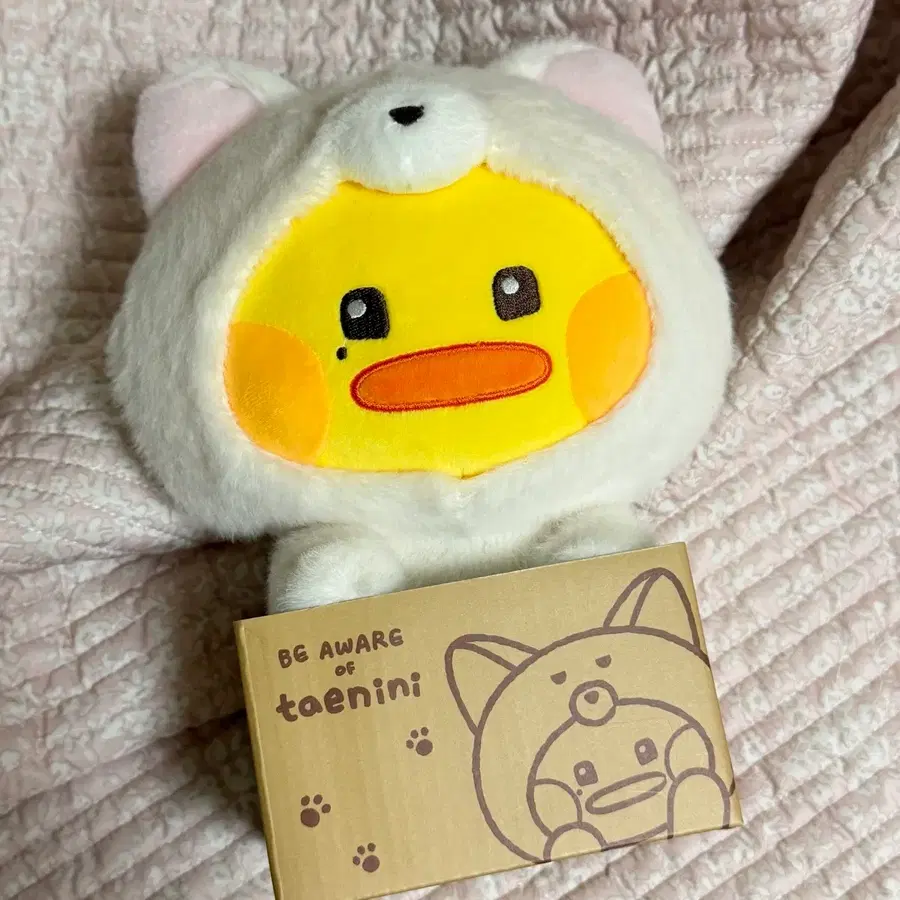 제로니 태니니 김태래 인형 양도
