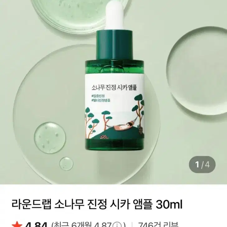 라운드랩 소나무 진정 시카 앰플