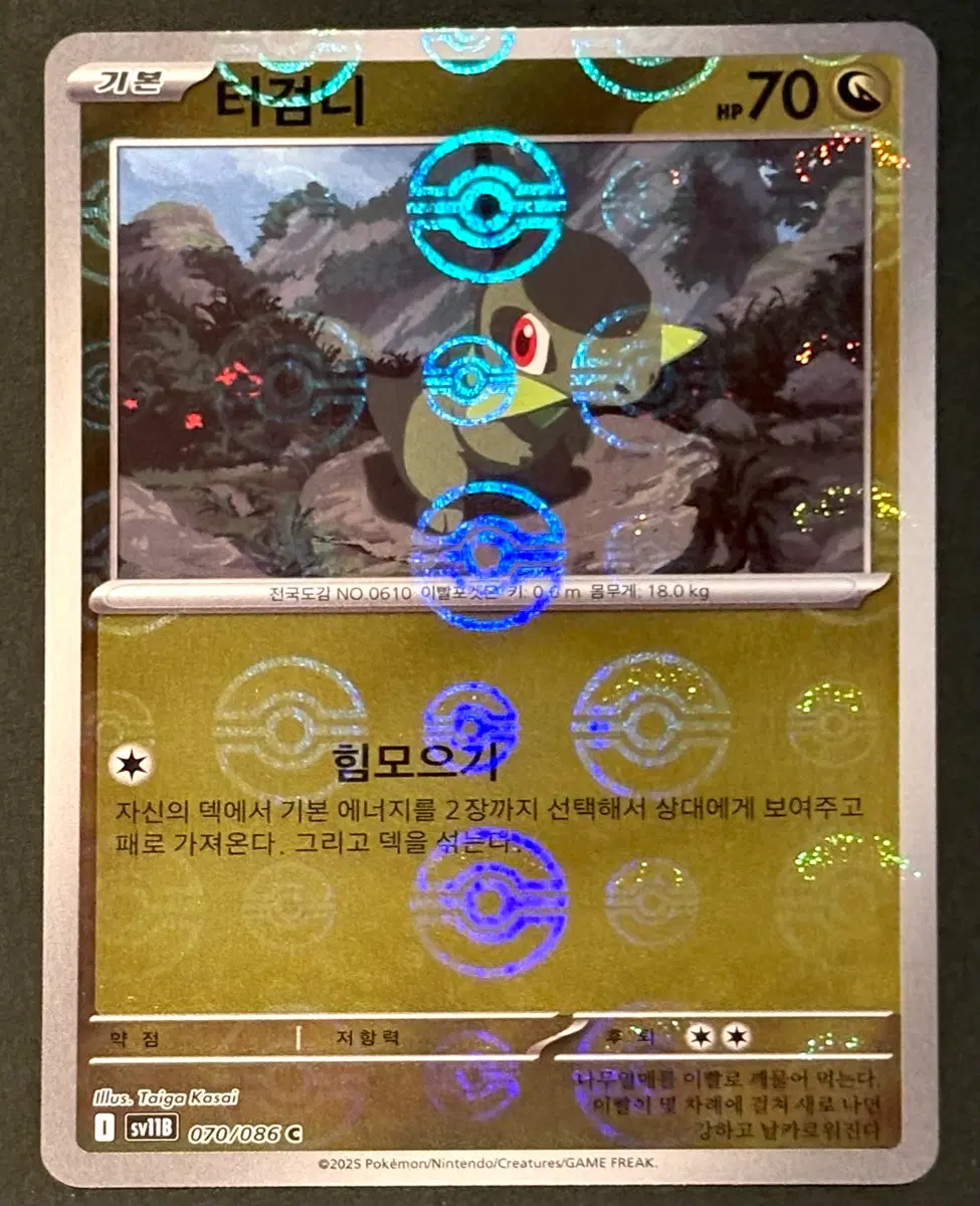 포켓몬카드 - 터검니 몬스터볼