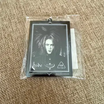 hide 거울 아크릴 키링 A 군복