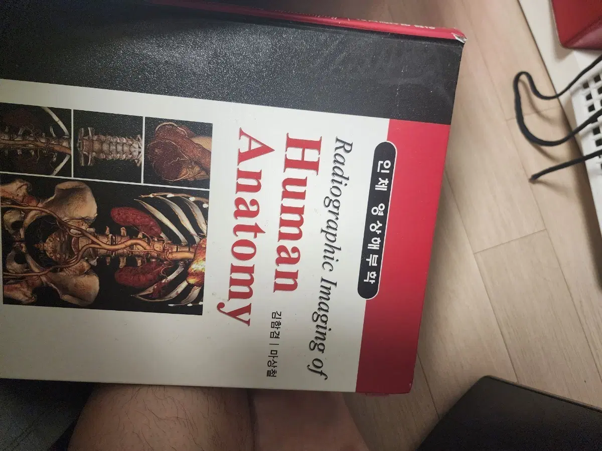 인체 영상해부학 Human Anatomy