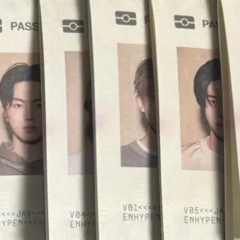 엔하이픈 더신베니시 여권 일괄