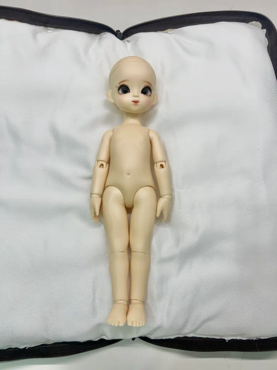 사돌 구관인형 구관 구체관절인형