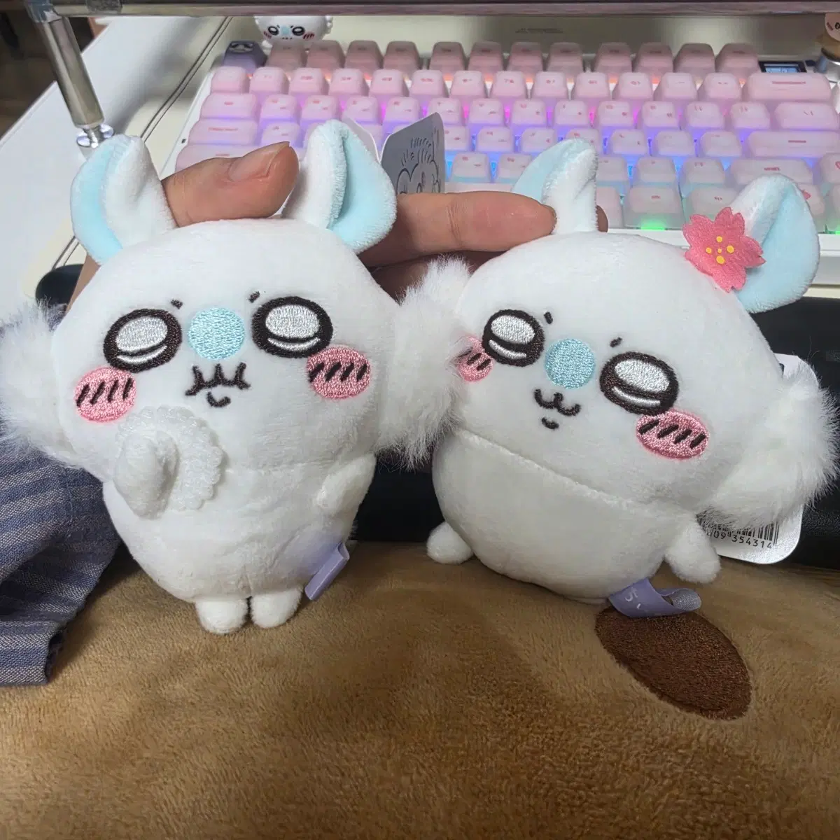 모몽가 투성이 벚꽃, 주먹밥 세트로 판매합니다