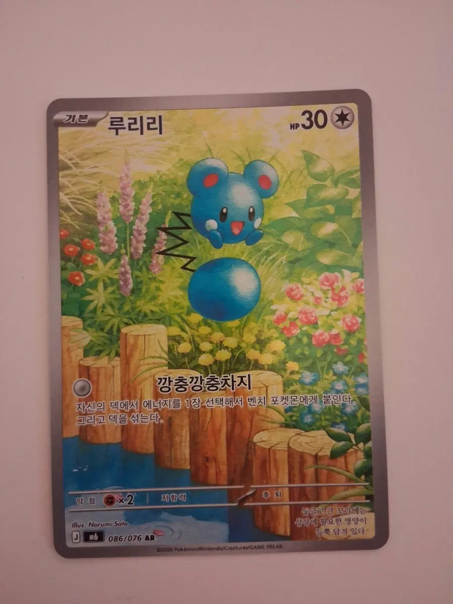 포켓몬 카드 루리리 AR