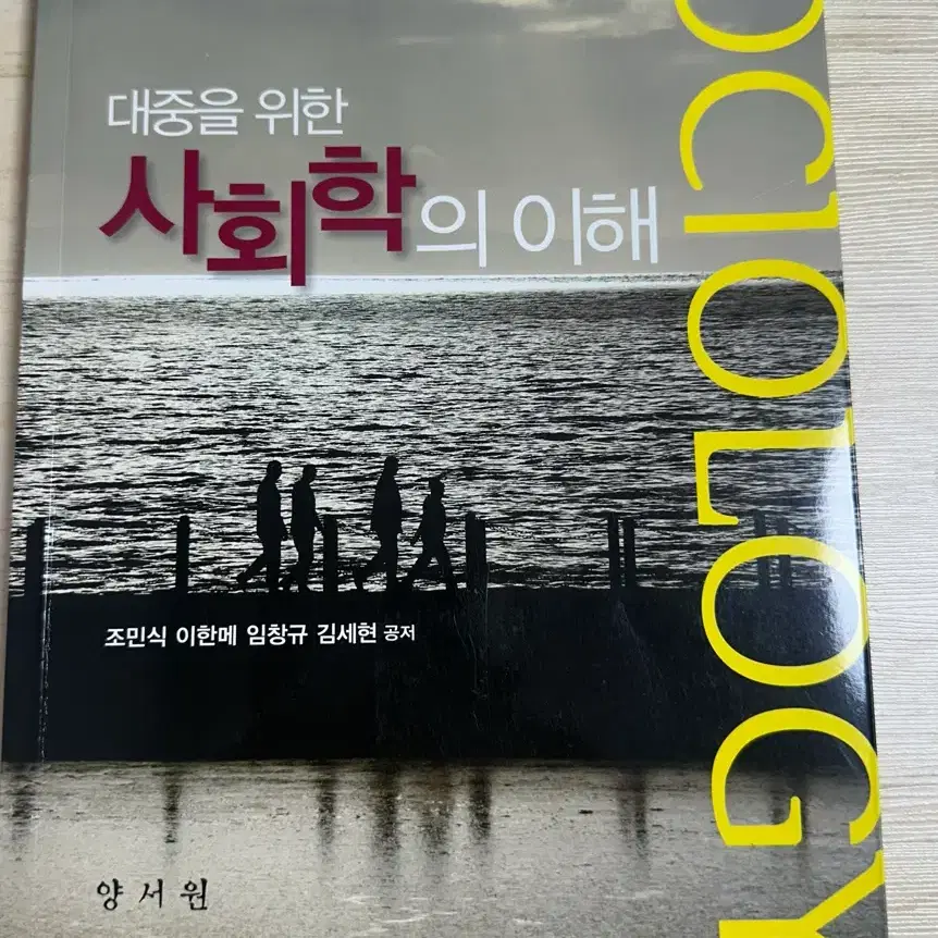 중고책) 대중을 위한 사회학의 이해