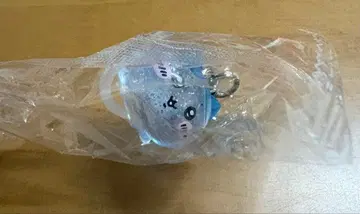 치이카와 파크 하치와레 입장객 혜택 메지루시 참