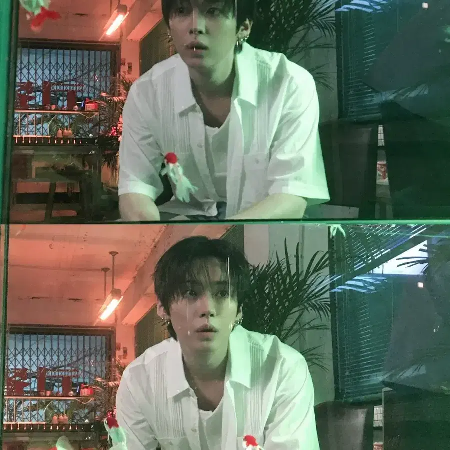 리노 블드미 개인 결제
