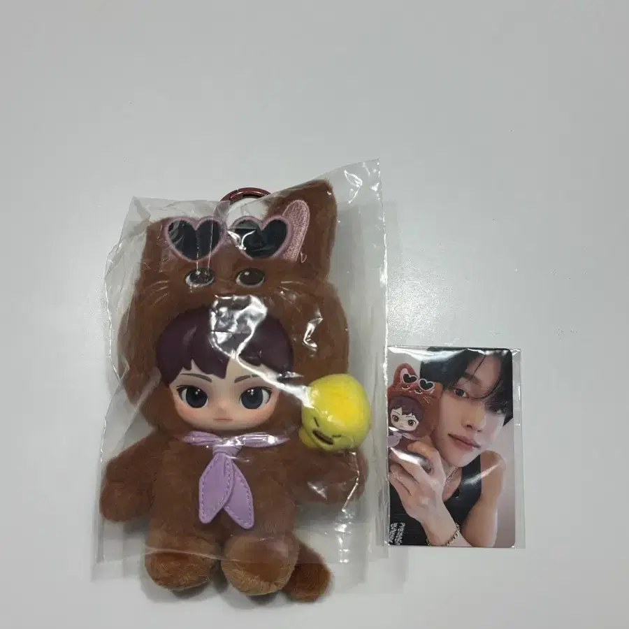 추석할인)팝마트 라이즈 원빈 토냥덕 시크릿