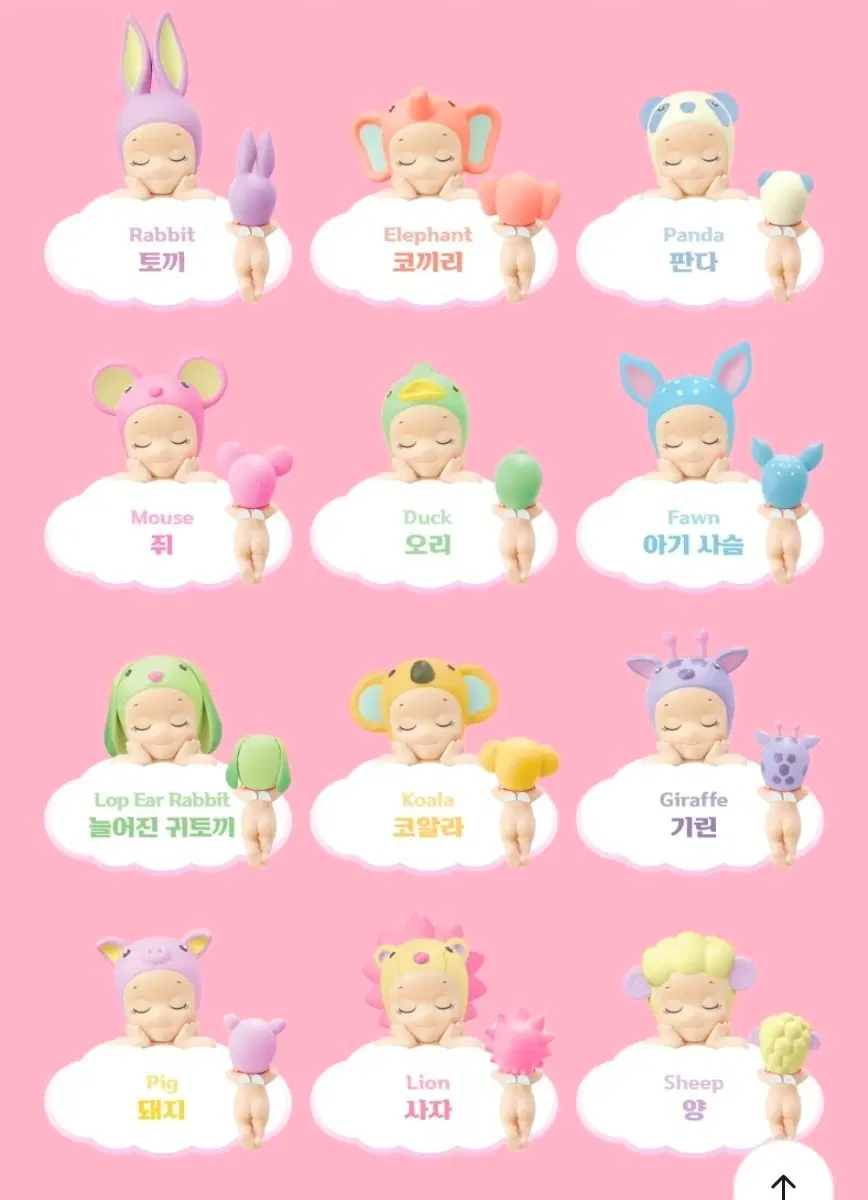 소니엔젤 히퍼 드리밍 12종 한박스